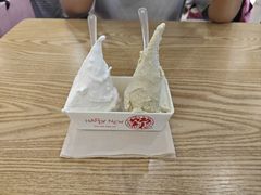 -野人先生Gelato(上海长宁龙之梦店)