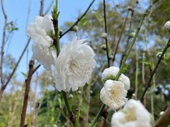 -桃花涧