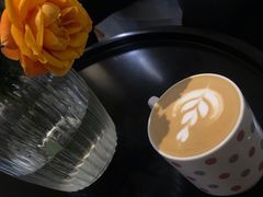 棉花咖啡-COTTON CAFE(德信·中外公寓店)
