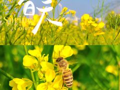 -汉江湾体育公园
