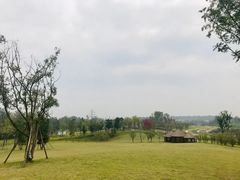 -白鹭湾湿地公园