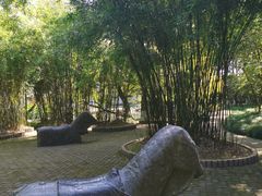 -瀛洲公园