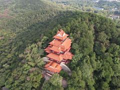 -东湖磨山景区