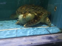 大堂-渔傅·蓝海岸霞浦海鲜(正祥店)