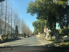 -华西村