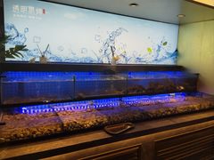 -透明思烤·自助烤肉海鲜火锅(东部星悦天地店)