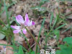 -洋湖国家湿地公园