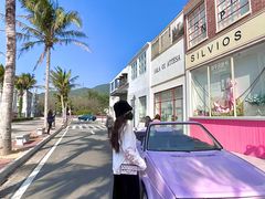 -玫瑰海岸文化旅游度假区