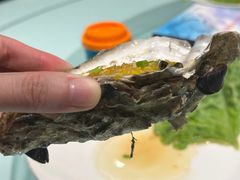 -映像烟台·海鲜·地道鲁菜(海信慧园店)
