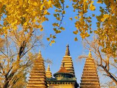 -北京石刻艺术博物馆(五塔寺)