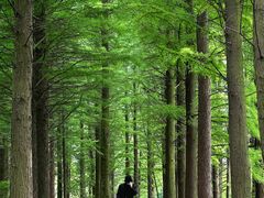 -艾溪湖湿地公园