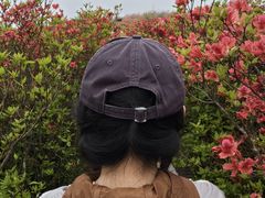 -大围山国家森林公园