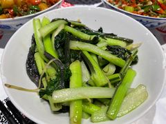 红菜苔-壹盏灯(惠农店)