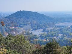 -上海佘山国家森林公园西佘山园