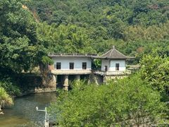 -罗坑大草原