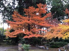 -醍醐寺
