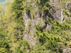 -塔云山