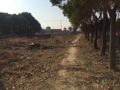 -呼吸森林·生态农庄农家乐私房菜