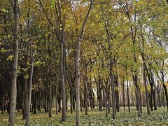 -长春公园(普阳街道)