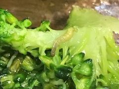 -比格比萨自助(赛罕区万达广场店)
