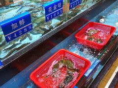 水产区-金碧轩粤菜海鲜大酒楼