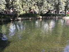-晓港公园