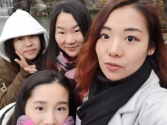 -白马涧龙池景区