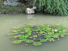 -九江美术馆