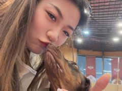 -和它·交个朋友·狗咖猫咖(爱琴海店)