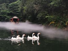 -周洛大峡谷