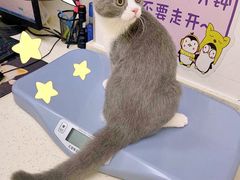 -芭比堂动物医院广州顽皮分院