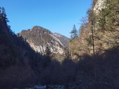 -卧龙自然保护区