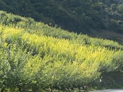 -叠溪松坪沟景区