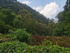 -黔灵山公园