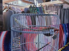 -巴黎春天(浦建店)