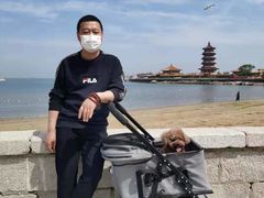 -长岛万鸟岛