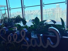 -Seesaw Coffee(朝阳大悦城店)