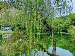 -柯岩风景区