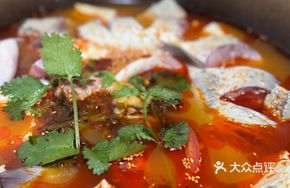 Sour Soup River Catfish