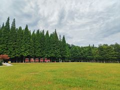 -宜兴龙背山森林公园