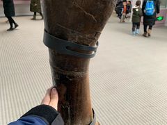 -辽宁古生物博物馆