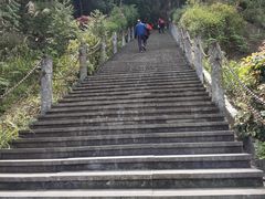 -铁山坪森林公园