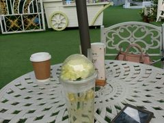 -苏小糖(鼓浪屿三丘田花园店)