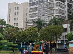 -石炮台公园