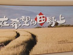 -杨厨的田园饭店(长城路店)