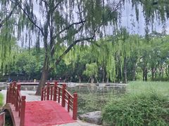 -玲珑塔公园