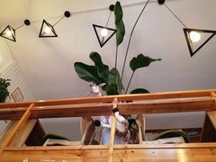 -长颈鹿咖啡(大学路店)