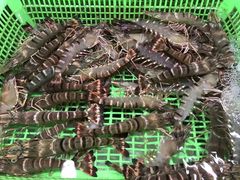 -都斛海鲜街