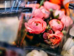 -循礼门鲜花花市(武汉循礼门店)