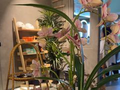 -施奈儿.洗头頭療.按摩SPA.采耳(上梅林店)